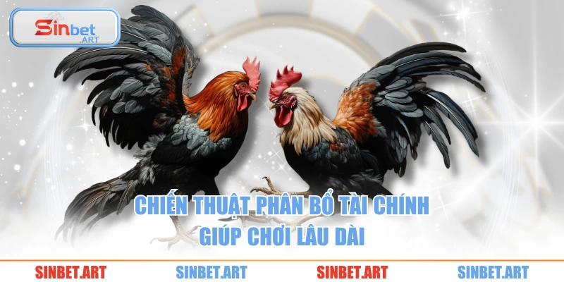 Chiến thuật phân bổ tài chính giúp chơi lâu dài