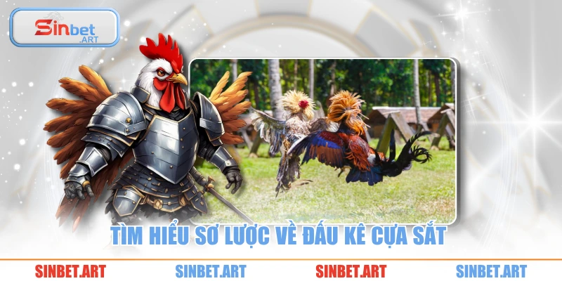Tìm hiểu sơ lược về đấu kê cựa sắt 