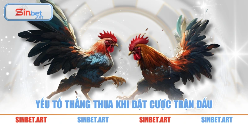 Yếu tố thắng thua khi đặt cược trận đấu